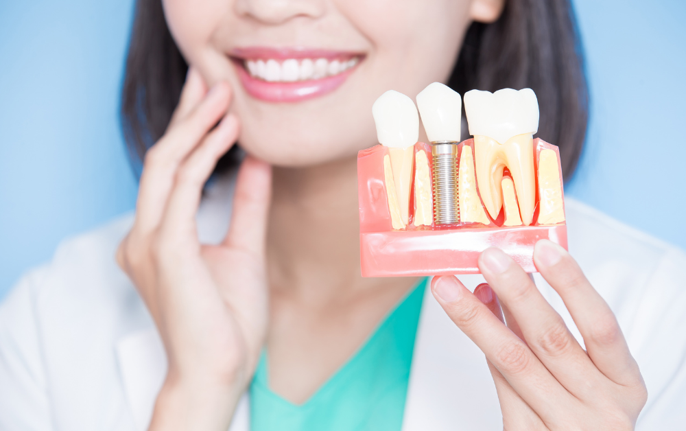 ukážka zubného implantátu a korunky na modeli chrupu